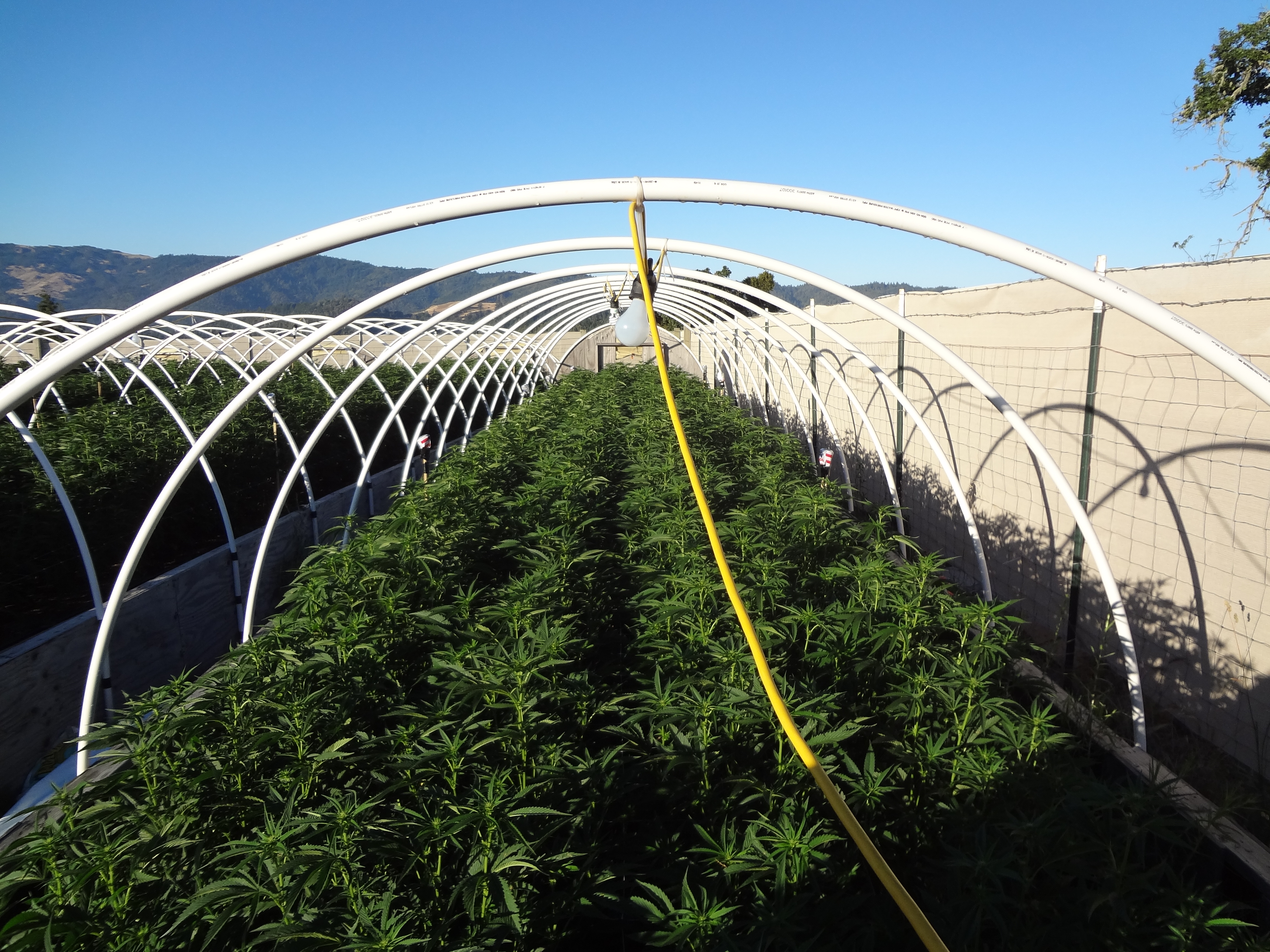 Search Warrants - Case 201502868